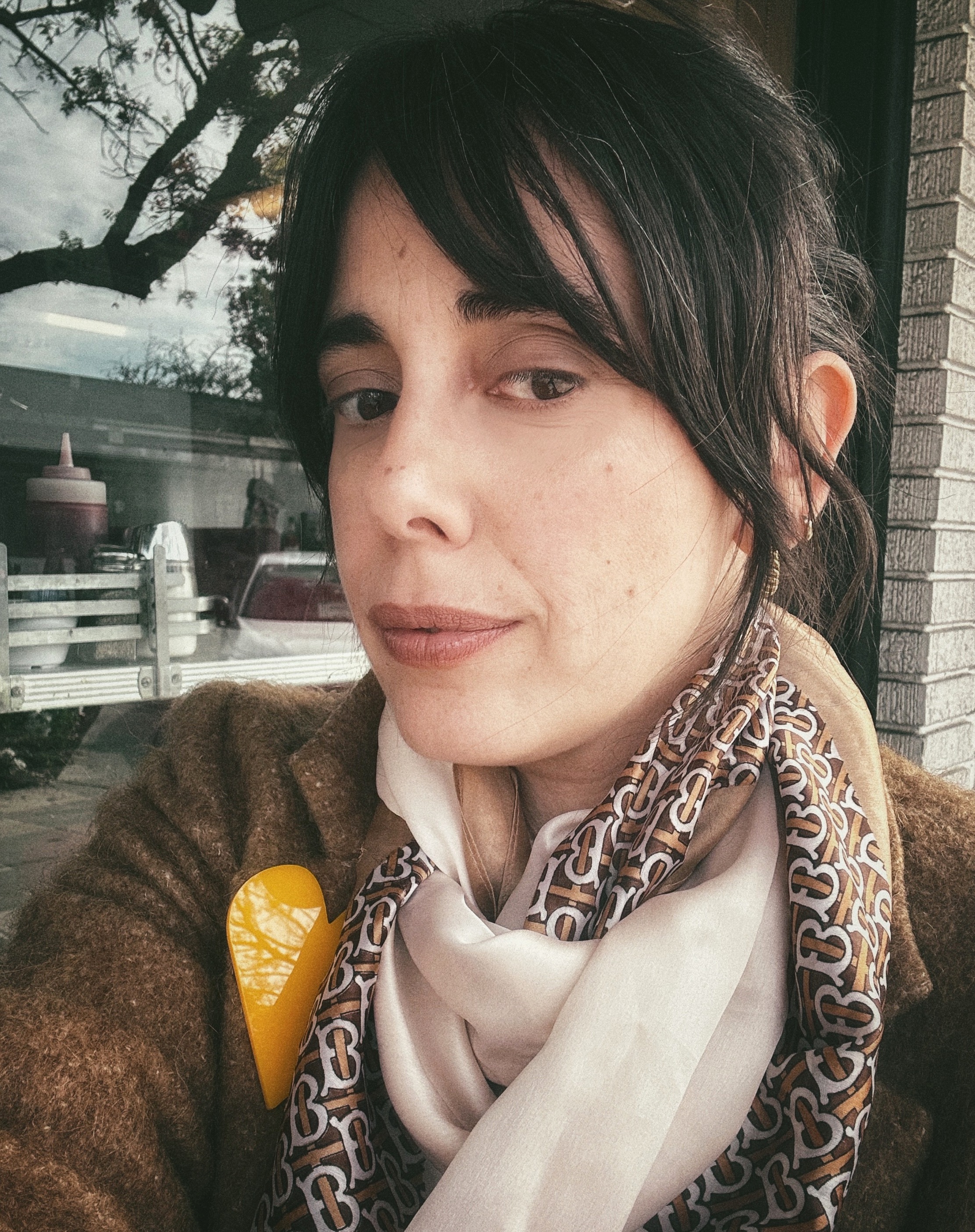 Alessandra T Gerevini